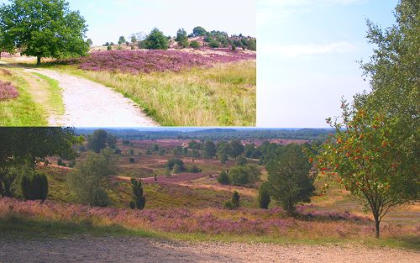 Lüneburger Heide